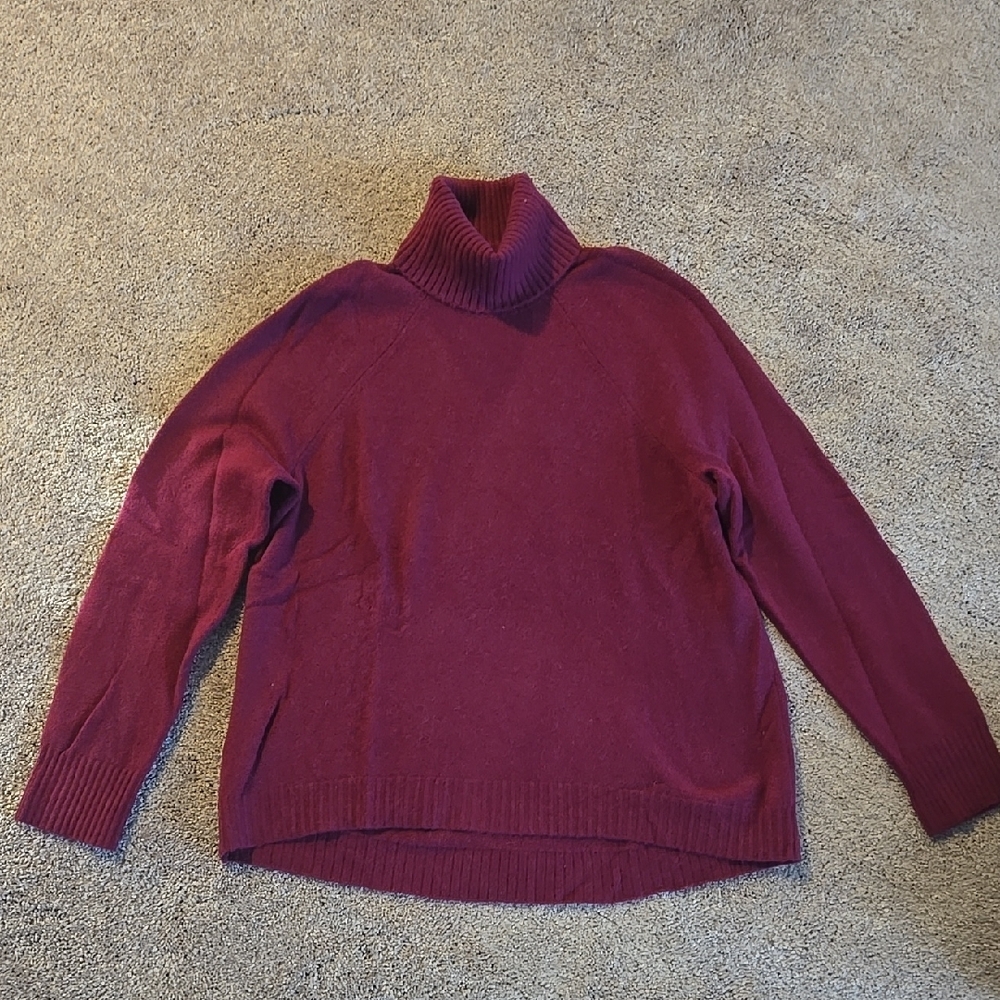 J.Crew Turtleneck Sweater